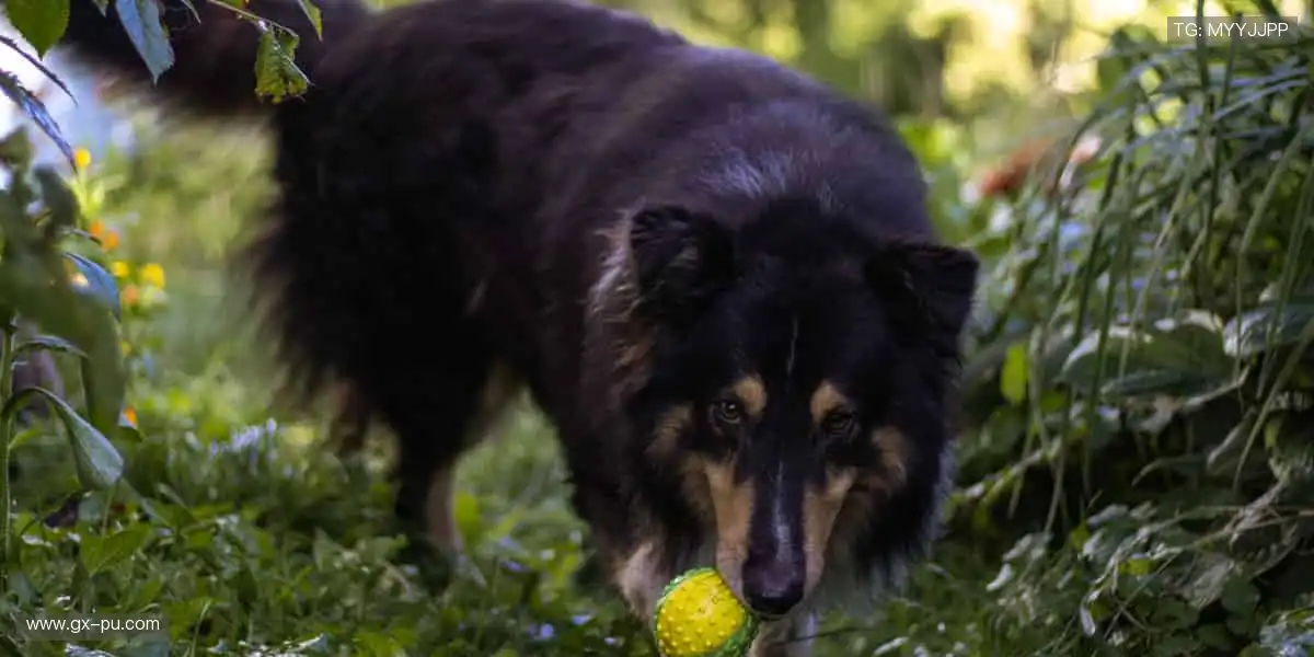 周边潮品,让热爱触手可及!🎯💥
